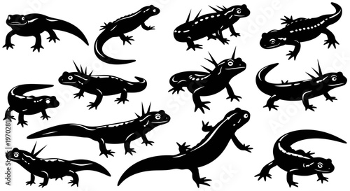 Collection of various salamanders and newts in silhouette, showcasing different poses and species.