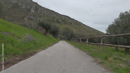 Point of view video of a car traveling along a rural road in Venafro Olive Park