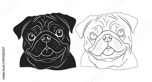 Comparative illustrations of a pug dog's face presented in solid black silhouette and detailed black and white line art styles.