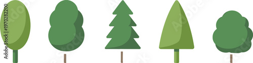 Row of five stylized tree illustrations with unique canopy shapes and shades of green, representing diverse plant forms in minimalist graphic educational design