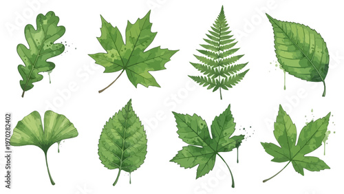 Empty placeholder image illustration 🖼️✨