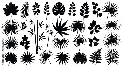 Large collection of various plant and leaf silhouettes in solid black featuring tropical palm, monstera, maple, and fern.