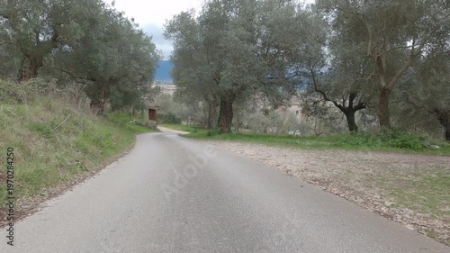 Point of view video of a car traveling along a rural road in Venafro Olive Park