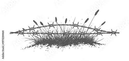 Barbed wire fence entwined with wild grass and seed heads