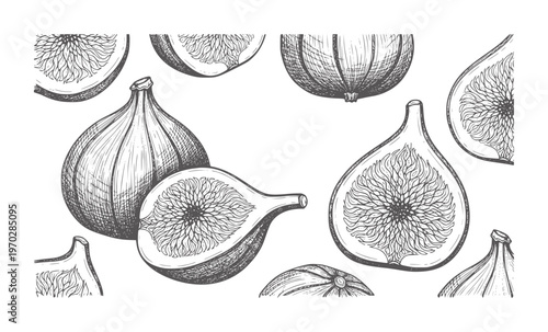 Black and white line of figs whole and halved showing inner texture fruit