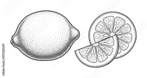 Black and white of a whole lemon and sliced lemon citrus fruit slices crosssection