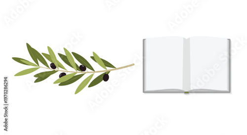 Pristine open book with blank white pages sits adjacent to a detailed olive branch featuring green leaves and dark purple fruits on a white background.