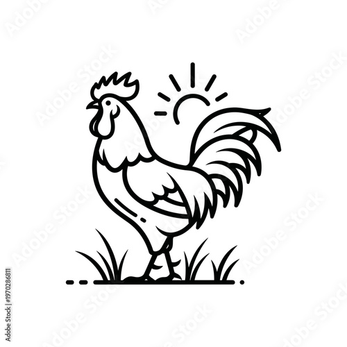 Rooster standing in morning field with sun shining in background, isolated on transparent background    
