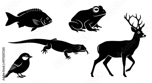 Collection of Black Silhouettes of Various Animals.