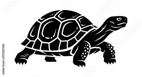 Black Silhouette of a Tortoise Walking Forward.