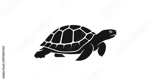 Black Silhouette of a Turtle on a White Background.