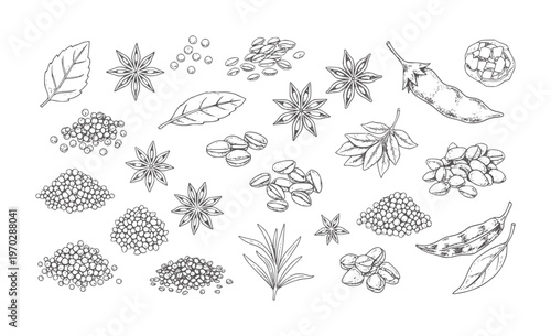 Monochrome hand drawn spices seeds and herbs collection black