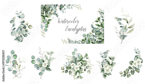 Fotografía Eucalyptus leaves corner border