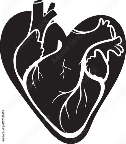 Anatomical heart illustration a black and white depiction of the human heart