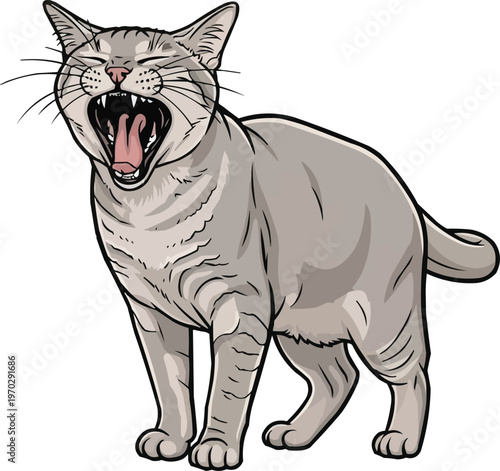 Asian Self Cat yawning cute sleeping vector illustration