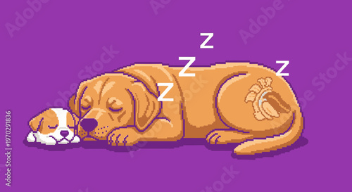 Simple blank concept image with no text or tags