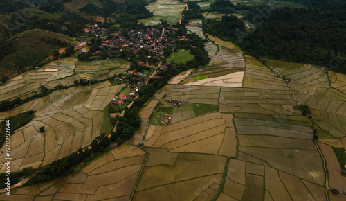 Rice field aerial village f...