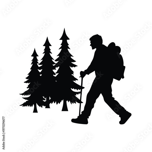 A hiker with trekking poles walking through a forest of tall pine trees silhouette vector illustration, hiker walking among pine trees silhouette vector illustration