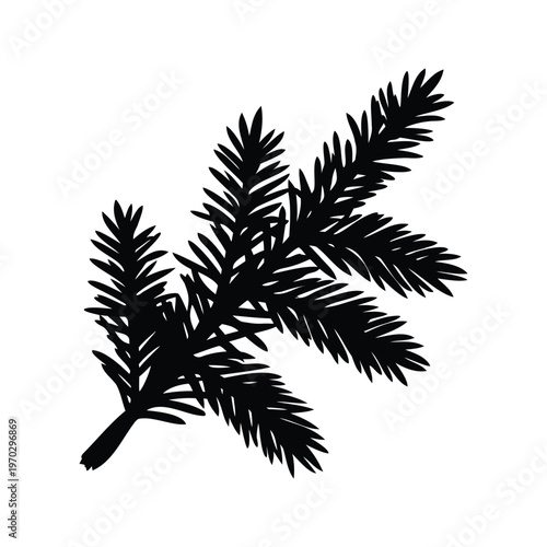 Silhouette of pine branch with needles in detailed vector illustration, fir branch silhouette vector illustration