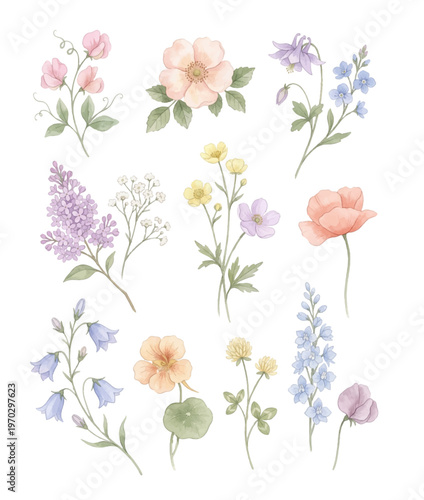 Watercolor Wildflower Clipart Set — 12 Botanical Spring Meadow Flowers 