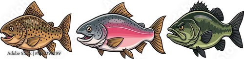 Freshwater fish vector illustration set with trout and bass species, detailed aquatic animals collection for fishing and wildlife design