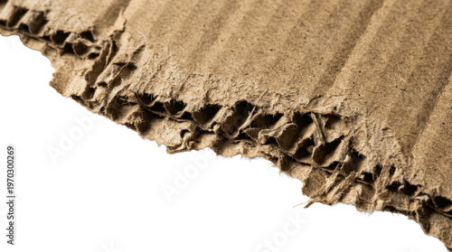 Torn Corrugated Cardboard: A close-up showcases the raw texture of torn cardboard, revealing the intricate layers and patterns of its corrugated construction.