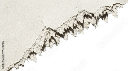 Textured Crack: A detailed shot of a textured crack revealing the passage of time. capturing the intricate patterns.