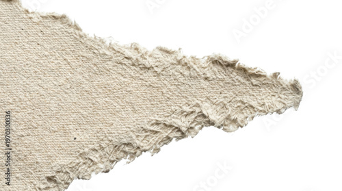 Torn Paper Texture: Close-up of a weathered, textured piece of paper, perfect for conveying a sense of age, fragility, and subtle beauty. 