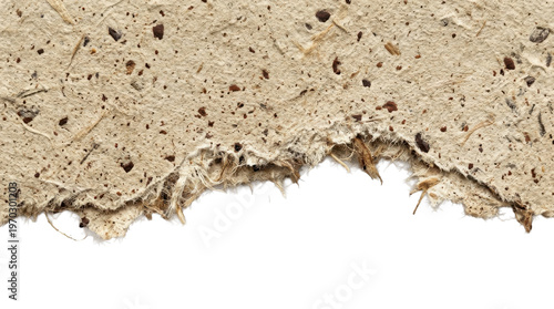 Textured Eco-Paper: A close-up shot of raw, textured eco-paper with torn edge, showcasing its natural imperfections and earthy tones, inviting touch and conveying a sense of sustainability.