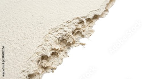 Textured Paper Edge: A close-up view of a torn, textured edge of a piece of paper, revealing the intricate details of its fibrous composition.