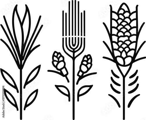 Editable agriculture vector icons, black outline with separate layers, color-ready design, rice, wheat, corn, white background