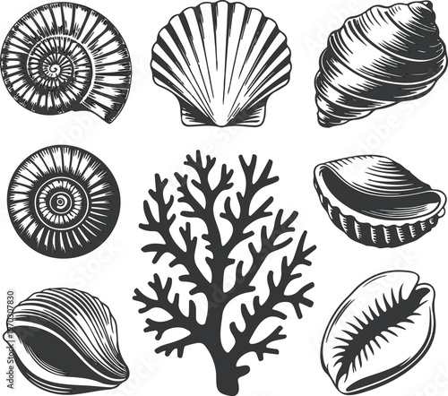 Collection of detailed sea shells and coral branches in vintage style illustration on muted background.