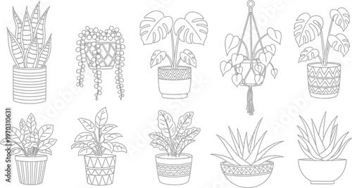Diverse Collection of Potted Houseplants Line Art Vector Illustration Set