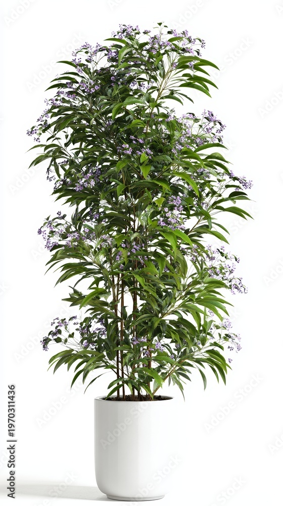 Fototapeta premium Flowering Plant in White Pot Isolated on White Background for Minimalist Home Decor