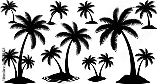set of black palm trees on white background tropical landscape design elements