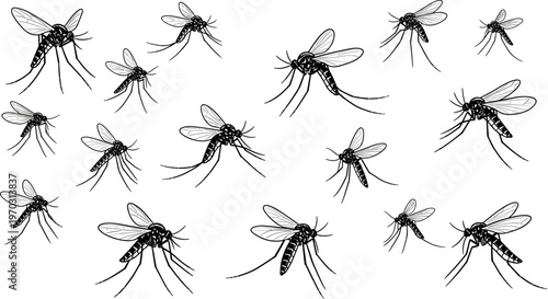 Mosquito insect vector illustration set with flying bugs, detailed wings, pest silhouettes and disease carrier collection isolated design