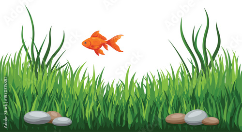 A single orange goldfish swims above lush green grass and smooth pebbles on a white background.