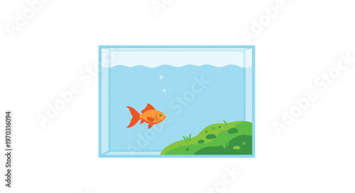 A single orange goldfish swims in a clear glass square tank with light blue water and green moss on a white background.