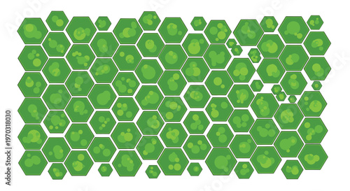 Green hexagonal cells with internal circular elements are arranged on a white background.