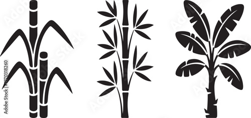 Silhouette collection of sugar cane bamboo and banana plant tropical plants