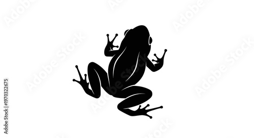Silhouette of a Frog in a Dynamic Pose.