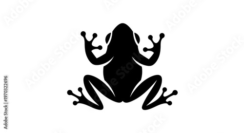 Silhouette of a Frog in a Static Pose.
