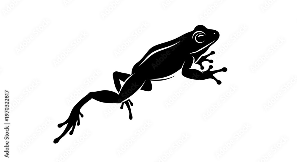 Fototapeta premium Silhouette of a Frog in Motion.