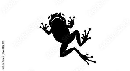 Silhouette of a Frog in Motion.