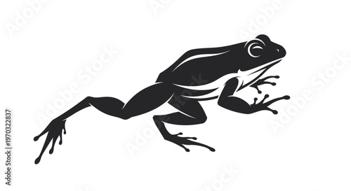 Silhouette of a Frog in Motion.