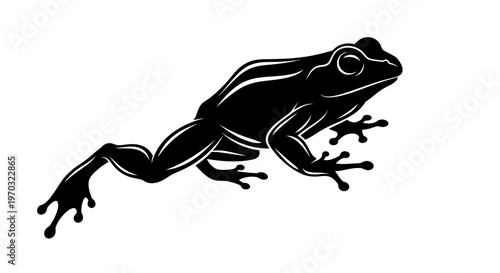 Silhouette of a Frog in Motion.