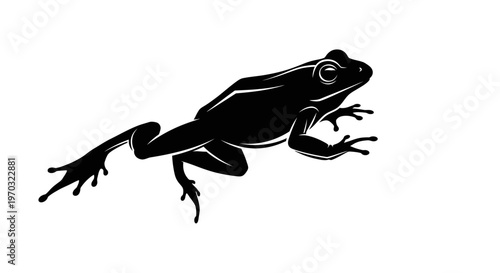 Silhouette of a Frog in Motion.