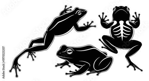 Three Black Frogs Silhouettes Isolated on White Background.