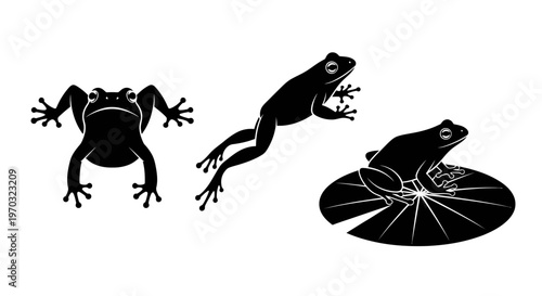 Three Black Frogs Silhouettes in Different Poses on White Background.