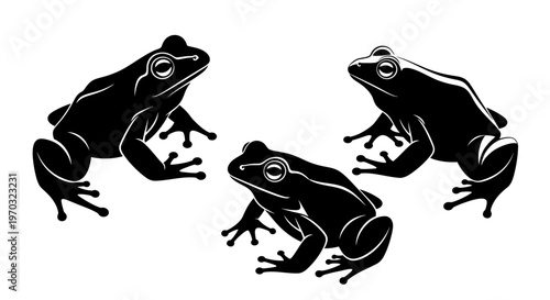 Three Black Frogs Silhouettes on White Background.